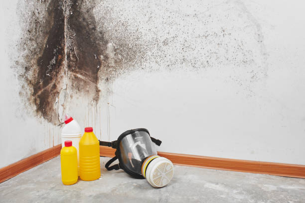 Best Water Damage Restoration  in Leavenworth, KS