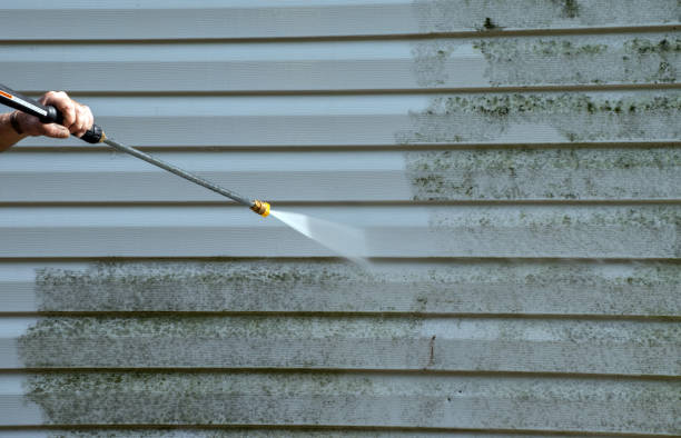 Best Mold Inspection  in Leavenworth, KS