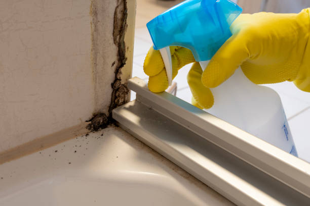 Best Fast Mold Removal  in Leavenworth, KS