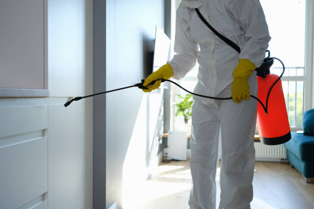 Best Affordable Mold Removal  in Leavenworth, KS