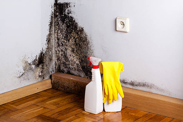Water Damage Restoration in Leavenworth, KS